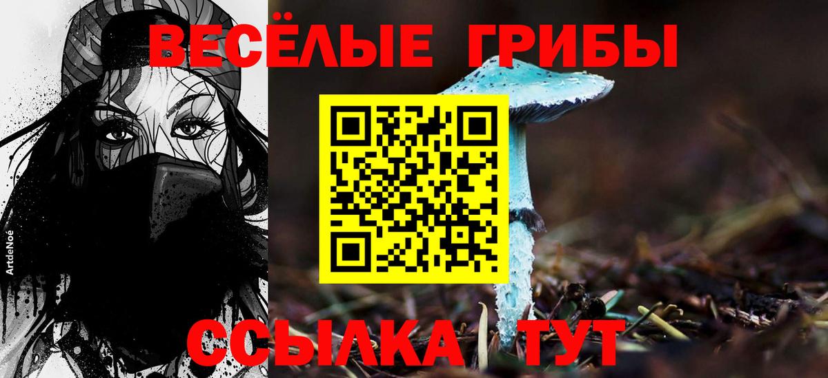 купить   Галлюциногенные грибы GOLDEN TEACHER  Вход с VPN  Коряжма 